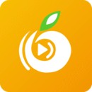 成全视频在线观看免费高清完整版